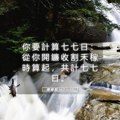Picture 05 - 申 命 記 16:9 CUVT - 你 要 計 算 七 七 日 ： 從 你 開 鐮 - Bible Verse Picture