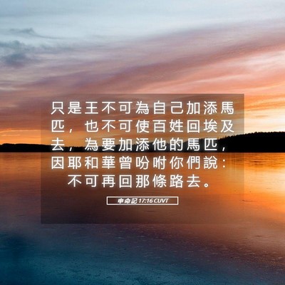 Picture 05 - 申 命 記 17:16 CUVT - 只 是 王 不 可 為 自 己 加 添 馬 匹 - Bible Verse Picture