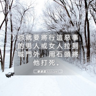 Picture 05 - 申 命 記 17:5 CUVT - 你 就 要 將 行 這 惡 事 的 男 人 或 - Bible Verse Picture