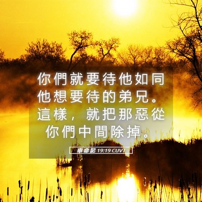 Picture 05 - 申 命 記 19:19 CUVT - 你 們 就 要 待 他 如 同 他 想 要 待 - Bible Verse Picture