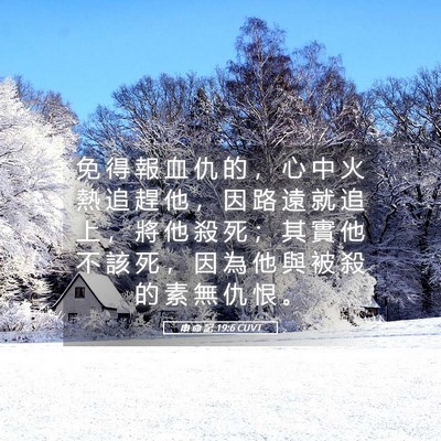 Picture 05 - 申 命 記 19:6 CUVT - 免 得 報 血 仇 的 ， 心 中 火 熱 追 - Bible Verse Picture