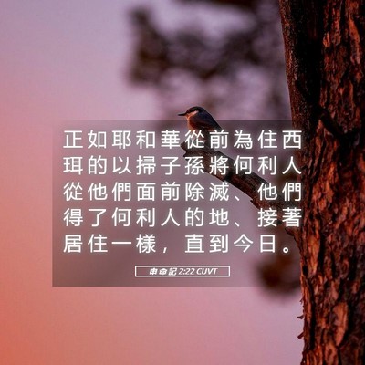 Picture 05 - 申 命 記 2:22 CUVT - 正 如 耶 和 華 從 前 為 住 西 珥 的 - Bible Verse Picture