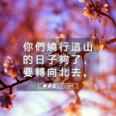 Picture 05 - 申 命 記 2:3 CUVT - 你 們 繞 行 這 山 的 日 子 夠 了 ， - Bible Verse Picture
