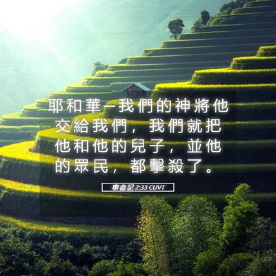 Picture 05 - 申 命 記 2:33 CUVT - 耶 和 華 ─ 我 們 的 神 將 他 交 給 - Bible Verse Picture