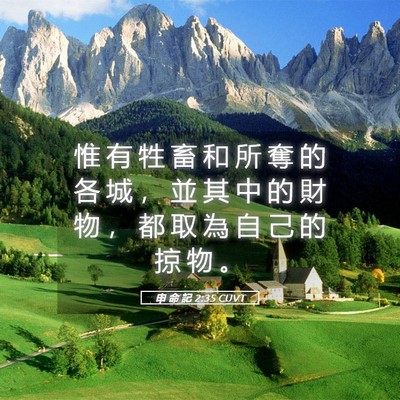 Picture 05 - 申 命 記 2:35 CUVT - 惟 有 牲 畜 和 所 奪 的 各 城 ， 並 - Bible Verse Picture