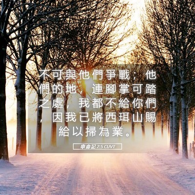 Picture 05 - 申 命 記 2:5 CUVT - 不 可 與 他 們 爭 戰 ； 他 們 的 地 - Bible Verse Picture
