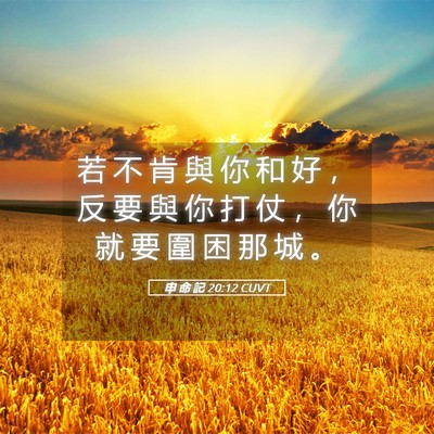 Picture 05 - 申 命 記 20:12 CUVT - 若 不 肯 與 你 和 好 ， 反 要 與 你 - Bible Verse Picture