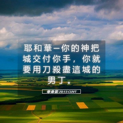 Picture 05 - 申 命 記 20:13 CUVT - 耶 和 華 ─ 你 的 神 把 城 交 付 你 - Bible Verse Picture