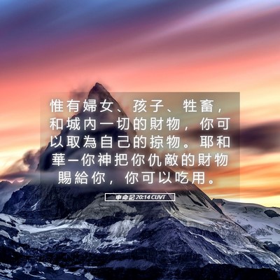 Picture 05 - 申 命 記 20:14 CUVT - 惟 有 婦 女 、 孩 子 、 牲 畜 ， 和 - Bible Verse Picture