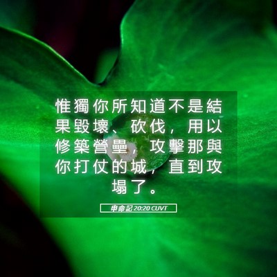 Picture 05 - 申 命 記 20:20 CUVT - 惟 獨 你 所 知 道 不 是 結 果 毀 壞 - Bible Verse Picture