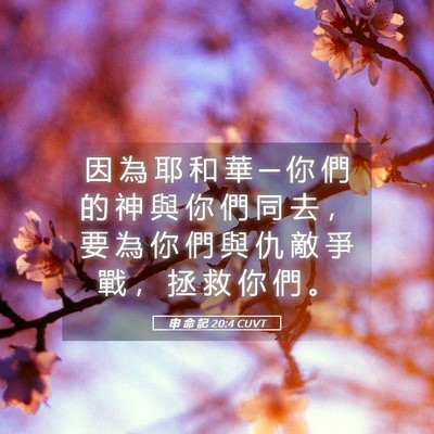 Picture 05 - 申 命 記 20:4 CUVT - 因 為 耶 和 華 ─ 你 們 的 神 與 你 - Bible Verse Picture