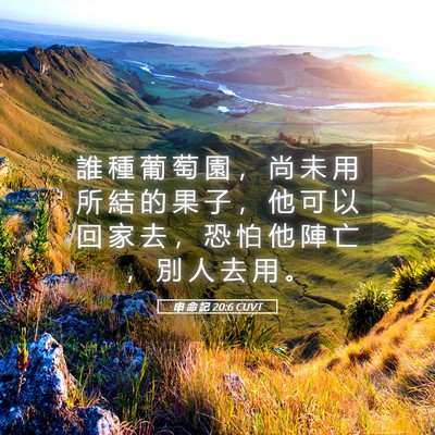 Picture 05 - 申 命 記 20:6 CUVT - 誰 種 葡 萄 園 ， 尚 未 用 所 結 的 - Bible Verse Picture