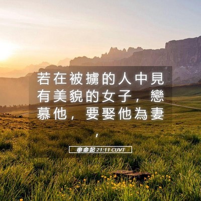 Picture 05 - 申 命 記 21:11 CUVT - 若 在 被 擄 的 人 中 見 有 美 貌 的 - Bible Verse Picture