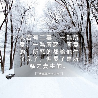 Picture 05 - 申 命 記 21:15 CUVT - 人 若 有 二 妻 ， 一 為 所 愛 ， 一 - Bible Verse Picture