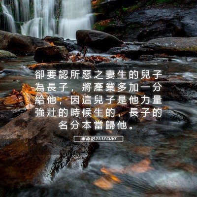 Picture 05 - 申 命 記 21:17 CUVT - 卻 要 認 所 惡 之 妻 生 的 兒 子 為 - Bible Verse Picture
