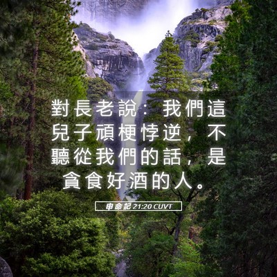 Picture 05 - 申 命 記 21:20 CUVT - 對 長 老 說 ： 我 們 這 兒 子 頑 梗 - Bible Verse Picture