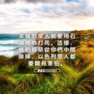 Picture 05 - 申 命 記 21:21 CUVT - 本 城 的 眾 人 就 要 用 石 頭 將 他 - Bible Verse Picture