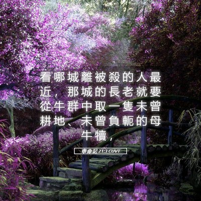 Picture 05 - 申 命 記 21:3 CUVT - 看 哪 城 離 被 殺 的 人 最 近 ， 那 - Bible Verse Picture