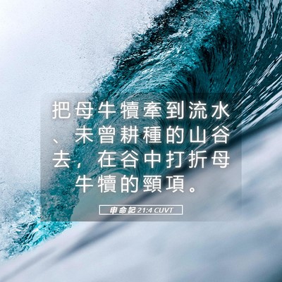 Picture 05 - 申 命 記 21:4 CUVT - 把 母 牛 犢 牽 到 流 水 、 未 曾 耕 - Bible Verse Picture