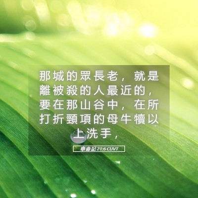 Picture 05 - 申 命 記 21:6 CUVT - 那 城 的 眾 長 老 ， 就 是 離 被 殺 - Bible Verse Picture