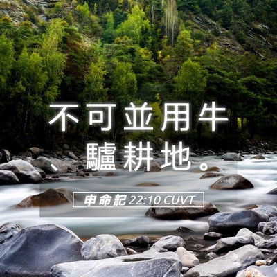 Picture 05 - 申 命 記 22:10 CUVT - 不 可 並 用 牛 、 驢 耕 地 - Bible Verse Picture