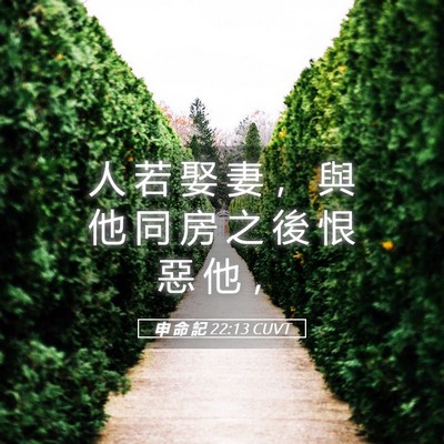 Picture 05 - 申 命 記 22:13 CUVT - 人 若 娶 妻 ， 與 他 同 房 之 後 恨 - Bible Verse Picture