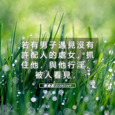 Picture 05 - 申 命 記 22:28 CUVT - 若 有 男 子 遇 見 沒 有 許 配 人 的 - Bible Verse Picture