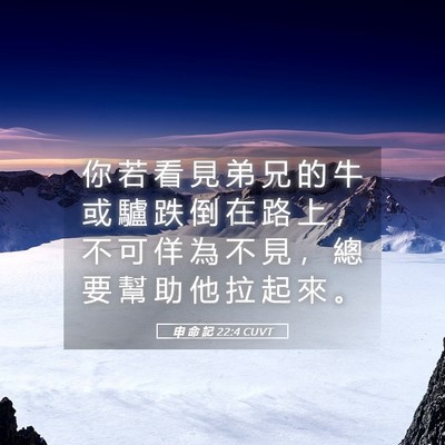 Picture 05 - 申 命 記 22:4 CUVT - 你 若 看 見 弟 兄 的 牛 或 驢 跌 倒 - Bible Verse Picture