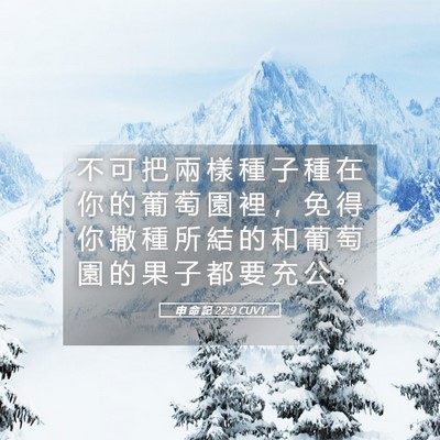 Picture 05 - 申 命 記 22:9 CUVT - 不 可 把 兩 樣 種 子 種 在 你 的 葡 - Bible Verse Picture
