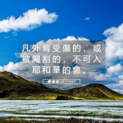 Picture 05 - 申 命 記 23:1 CUVT - 凡 外 腎 受 傷 的 ， 或 被 閹 割 的 - Bible Verse Picture