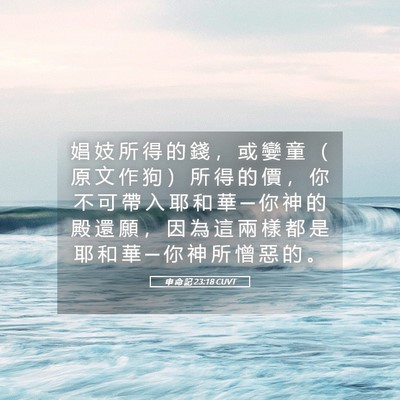 Picture 05 - 申 命 記 23:18 CUVT - 娼 妓 所 得 的 錢 ， 或 孌 童 （ 原 - Bible Verse Picture