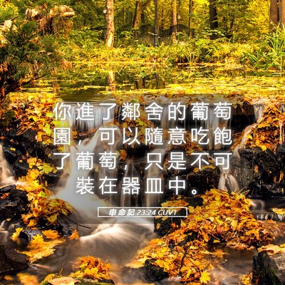 Picture 05 - 申 命 記 23:24 CUVT - 你 進 了 鄰 舍 的 葡 萄 園 ， 可 以 - Bible Verse Picture
