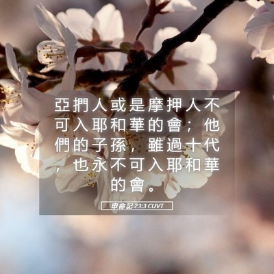 Picture 05 - 申 命 記 23:3 CUVT - 亞 捫 人 或 是 摩 押 人 不 可 入 耶 - Bible Verse Picture