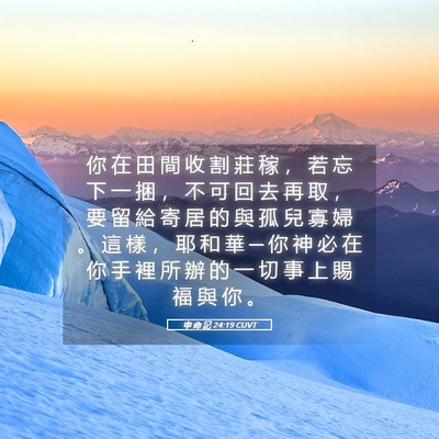 Picture 05 - 申 命 記 24:19 CUVT - 你 在 田 間 收 割 莊 稼 ， 若 忘 下 - Bible Verse Picture