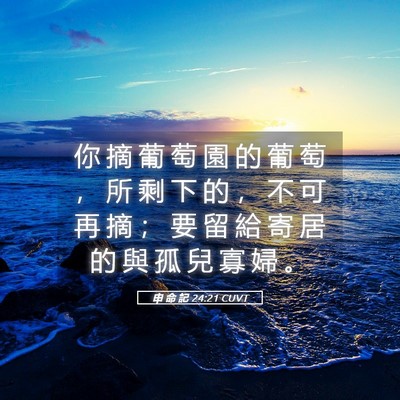 Picture 05 - 申 命 記 24:21 CUVT - 你 摘 葡 萄 園 的 葡 萄 ， 所 剩 下 - Bible Verse Picture