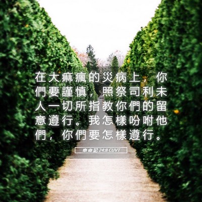 Picture 05 - 申 命 記 24:8 CUVT - 在 大 痲 瘋 的 災 病 上 ， 你 們 要 - Bible Verse Picture