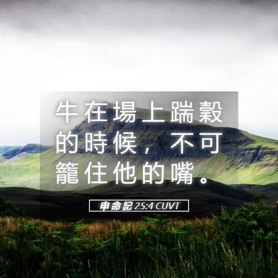 Picture 05 - 申 命 記 25:4 CUVT - 牛 在 場 上 踹 穀 的 時 候 ， 不 可 - Bible Verse Picture