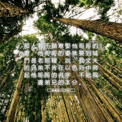 Picture 05 - 申 命 記 25:7 CUVT - 那 人 若 不 願 意 娶 他 哥 哥 的 妻 - Bible Verse Picture