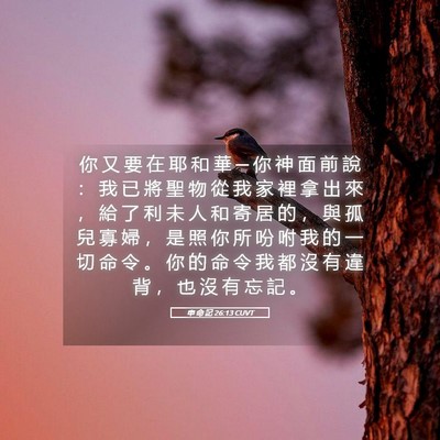 Picture 05 - 申 命 記 26:13 CUVT - 你 又 要 在 耶 和 華 ─ 你 神 面 前 - Bible Verse Picture