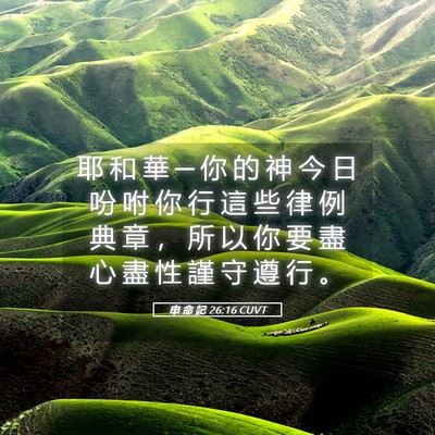 Picture 05 - 申 命 記 26:16 CUVT - 耶 和 華 ─ 你 的 神 今 日 吩 咐 你 - Bible Verse Picture