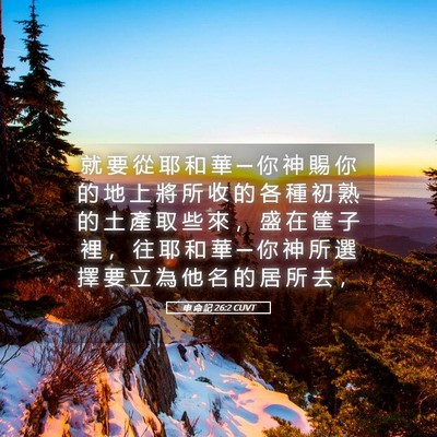 Picture 05 - 申 命 記 26:2 CUVT - 就 要 從 耶 和 華 ─ 你 神 賜 你 的 - Bible Verse Picture