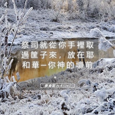 Picture 05 - 申 命 記 26:4 CUVT - 祭 司 就 從 你 手 裡 取 過 筐 子 來 - Bible Verse Picture
