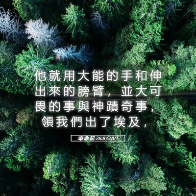Picture 05 - 申 命 記 26:8 CUVT - 他 就 用 大 能 的 手 和 伸 出 來 的 - Bible Verse Picture