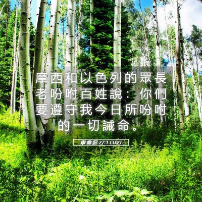 Picture 05 - 申 命 記 27:1 CUVT - 摩 西 和 以 色 列 的 眾 長 老 吩 咐 - Bible Verse Picture