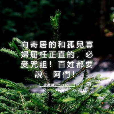 Picture 05 - 申 命 記 27:19 CUVT - 向 寄 居 的 和 孤 兒 寡 婦 屈 枉 正 - Bible Verse Picture