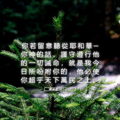 Picture 05 - 申 命 記 28:1 CUVT - 你 若 留 意 聽 從 耶 和 華 ─ 你 神 - Bible Verse Picture