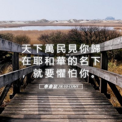 Picture 05 - 申 命 記 28:10 CUVT - 天 下 萬 民 見 你 歸 在 耶 和 華 的 - Bible Verse Picture