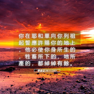 Picture 05 - 申 命 記 28:11 CUVT - 你 在 耶 和 華 向 你 列 祖 起 誓 應 - Bible Verse Picture