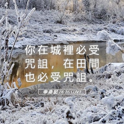 Picture 05 - 申 命 記 28:16 CUVT - 你 在 城 裡 必 受 咒 詛 ， 在 田 間 - Bible Verse Picture