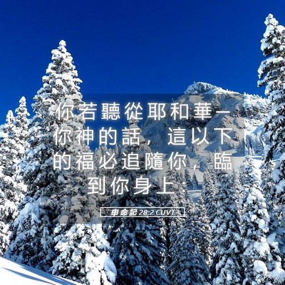 Picture 05 - 申 命 記 28:2 CUVT - 你 若 聽 從 耶 和 華 ─ 你 神 的 話 - Bible Verse Picture